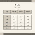 Pierre-Auguste Renoir — The Piazza San Marco, Venice